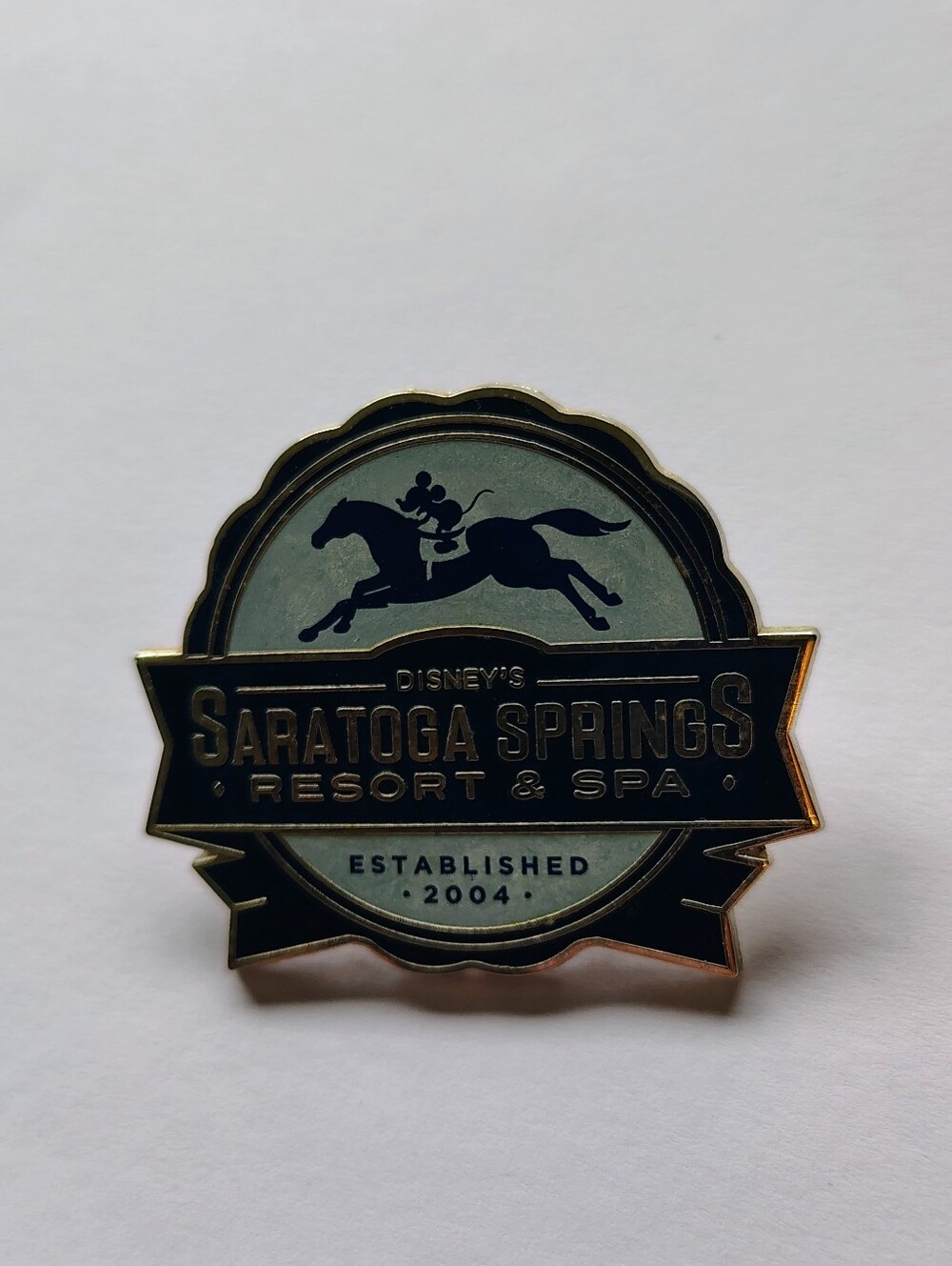 Sarasota Springs Disney Pin